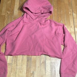 Aritzia TNA cropped hoodie